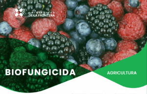 Biofungicida
