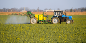 Nanobiofertilizantes mejoran la calidad y tolerancia al estrés hídrico en cultivos agrícolas