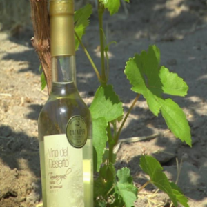 Vino Del Desierto