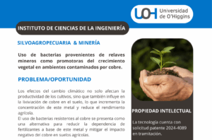 Biofertilizante bacteriano para suelos contaminados con cobre