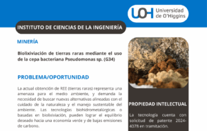 Biolixiviación de tierras raras mediante el uso de la cepa bacteriana Pseudomonas sp. (G34)