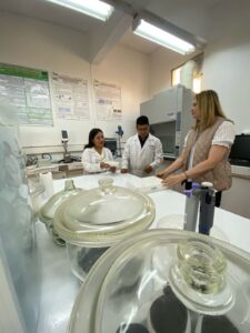 Innovación en Almacenamiento Térmico: La revolución de los materiales de cambio de fase