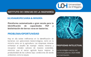 Plataforma automatizada para identificación de capacidades PGP y biolixiviación