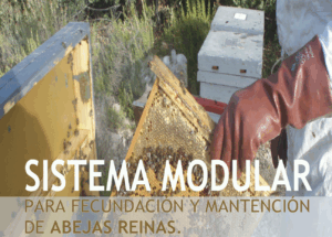 Sistema modular para abejas reinas