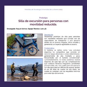 Silla de excursión para personas conmovilidad reducida
