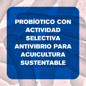 Probiótico con actividad selectiva antivibrio para acuicultura sustentable