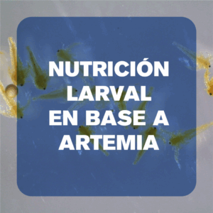 Nutrición larval en base a artemia